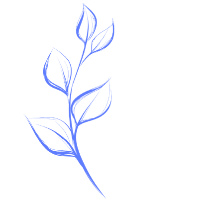 100 % natürliche Zutaten